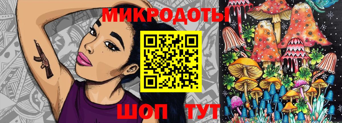 Амурск  Галлюциногенные грибы Psilocybe  Вход с VPN 